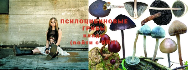 бутират Балахна