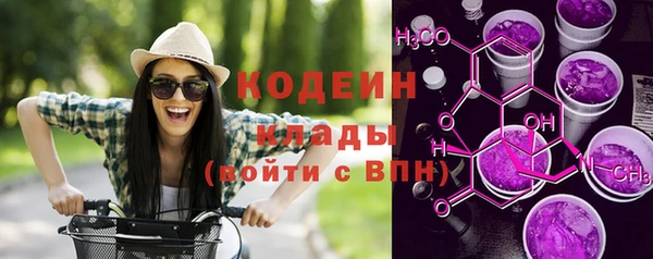 индика Баксан