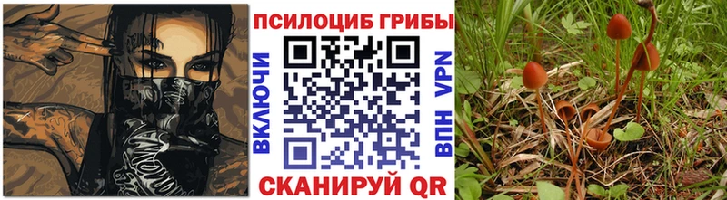 Галлюциногенные грибы Cubensis Белебей